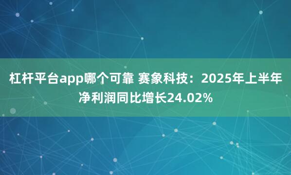 杠杆平台app哪个可靠 赛象科技：2025年上半年净利润同比增长24.02%
