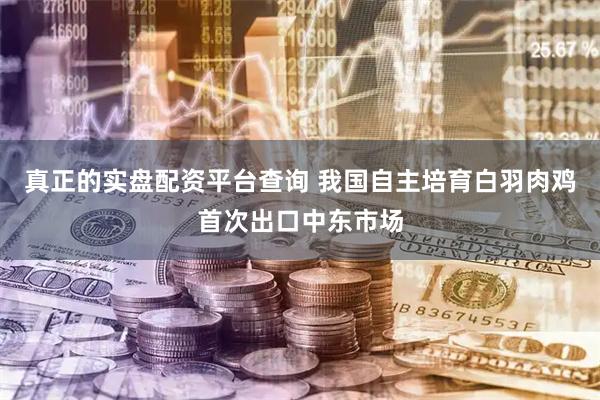 真正的实盘配资平台查询 我国自主培育白羽肉鸡首次出口中东市场