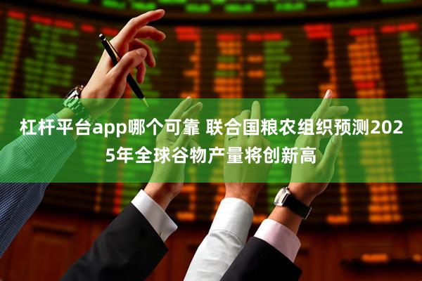 杠杆平台app哪个可靠 联合国粮农组织预测2025年全球谷物产量将创新高