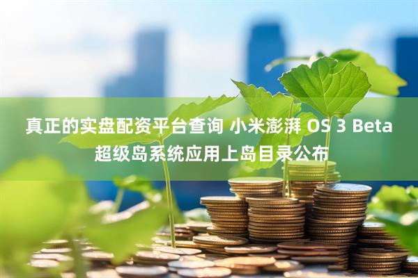 真正的实盘配资平台查询 小米澎湃 OS 3 Beta 超级岛系统应用上岛目录公布