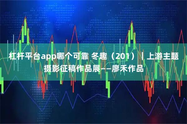 杠杆平台app哪个可靠 冬趣（201）｜上游主题摄影征稿作品展——廖禾作品